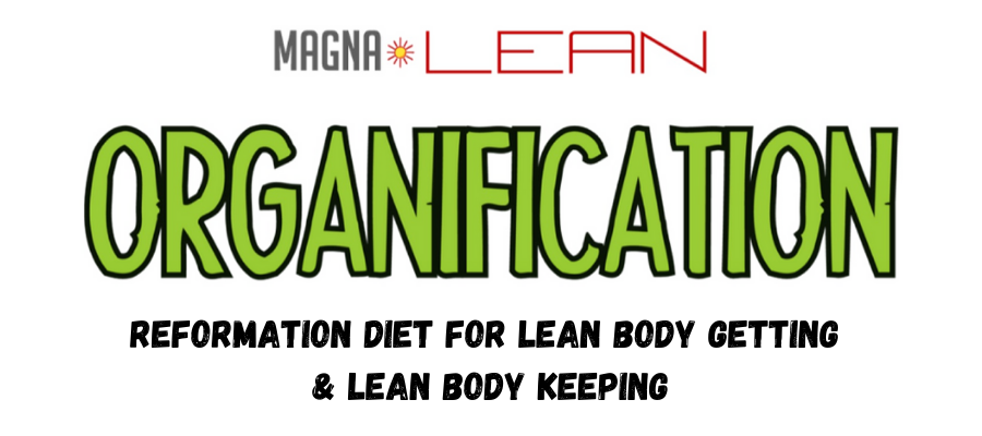 ORGANIFICATION DIET 2(1)