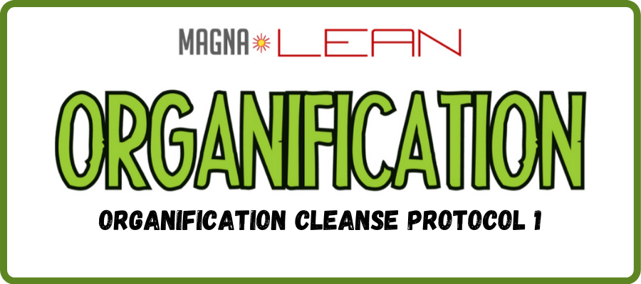 ORGANIFICATION cleanse protocol 1