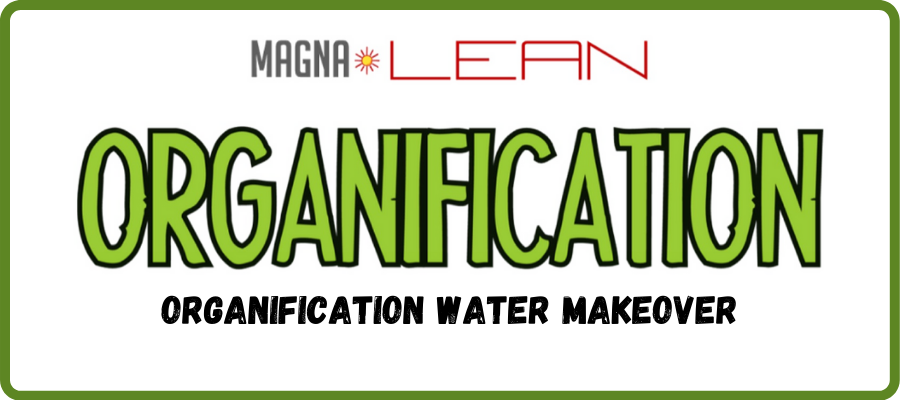 ORGANIFICATION water makeover