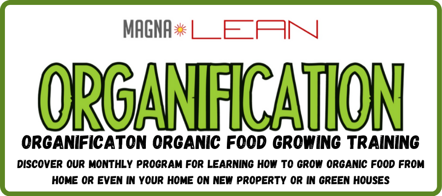 ORGANIFICATON ORGANIC FOOD GROWING TRAINING