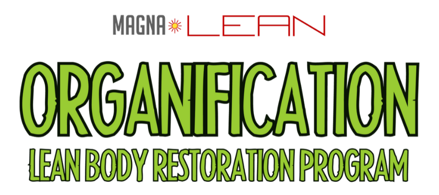 The MAGNALEAN Newsletter - Image Square.png